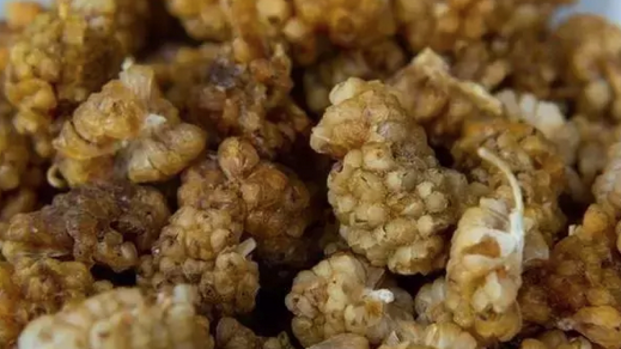 Foto - İbrahim Saraçoğlu'nun mucize tarifi: Egzamanın en doğal çaresi! 