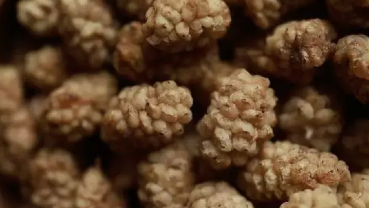 Foto - İbrahim Saraçoğlu'nun mucize tarifi: Egzamanın en doğal çaresi! 