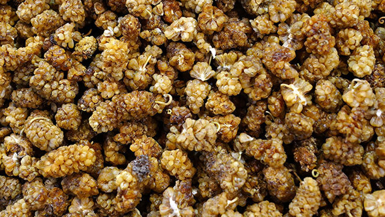 Foto - İbrahim Saraçoğlu'nun mucize tarifi! Evinde tıkalı damarları yağ çözücü gibi açıyor, Egzamanın en doğal çaresiymiş! 