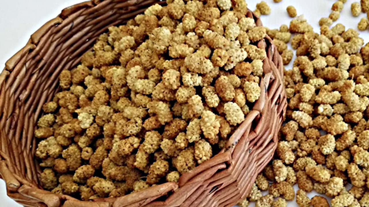 Foto - İbrahim Saraçoğlu'nun mucize tarifi: Osmanlı'ya kadar uzanıyor! Tıkalı damarları da yağ çözücü gibi açıyor