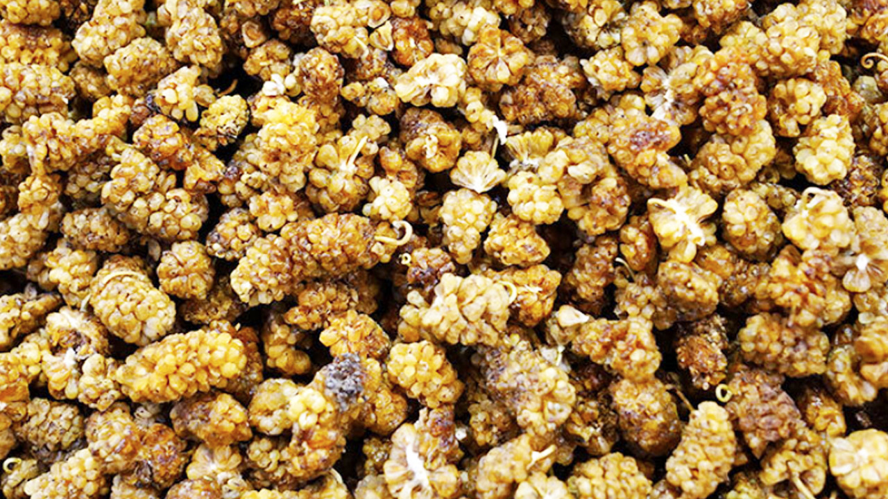 Foto - İbrahim Saraçoğlu'nun mucize tarifi: Osmanlı'ya kadar uzanıyor! Tıkalı damarları da yağ çözücü gibi açıyor