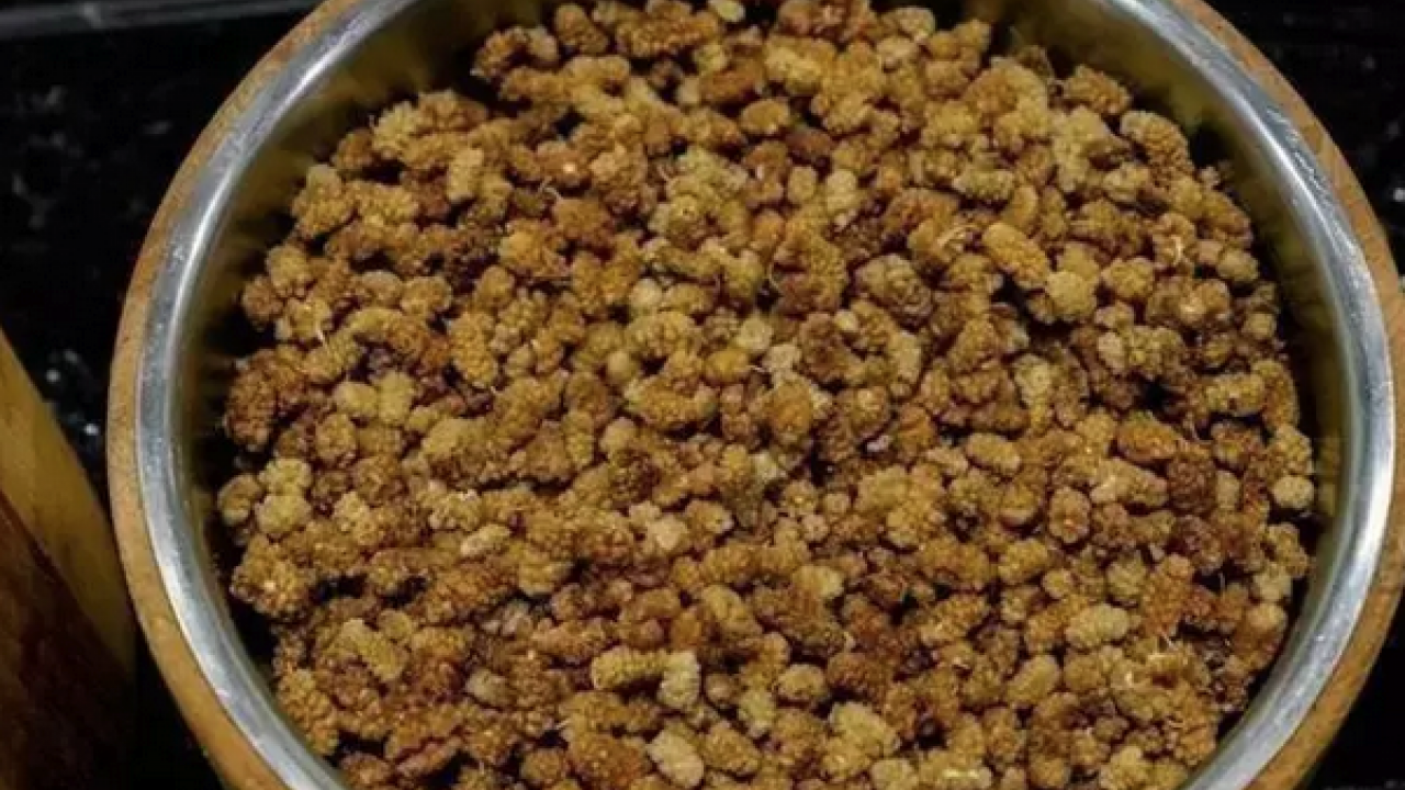 Foto - İbrahim Saraçoğlu'nun mucize tarifi: Padişahların doğal şeker ilacı! Egzamanın en doğal çaresiymiş