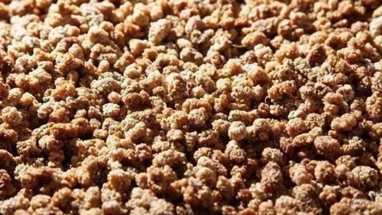 Foto - İbrahim Saraçoğlu'nun mucize tarifi: Padişahların doğal şeker ilacı! Egzamanın en doğal çaresiymiş