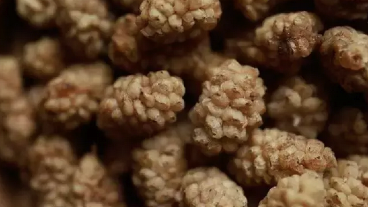 Foto - İbrahim Saraçoğlu'nun mucize tarifi: Padişahların doğal şeker ilacı! Egzamanın en doğal çaresiymiş