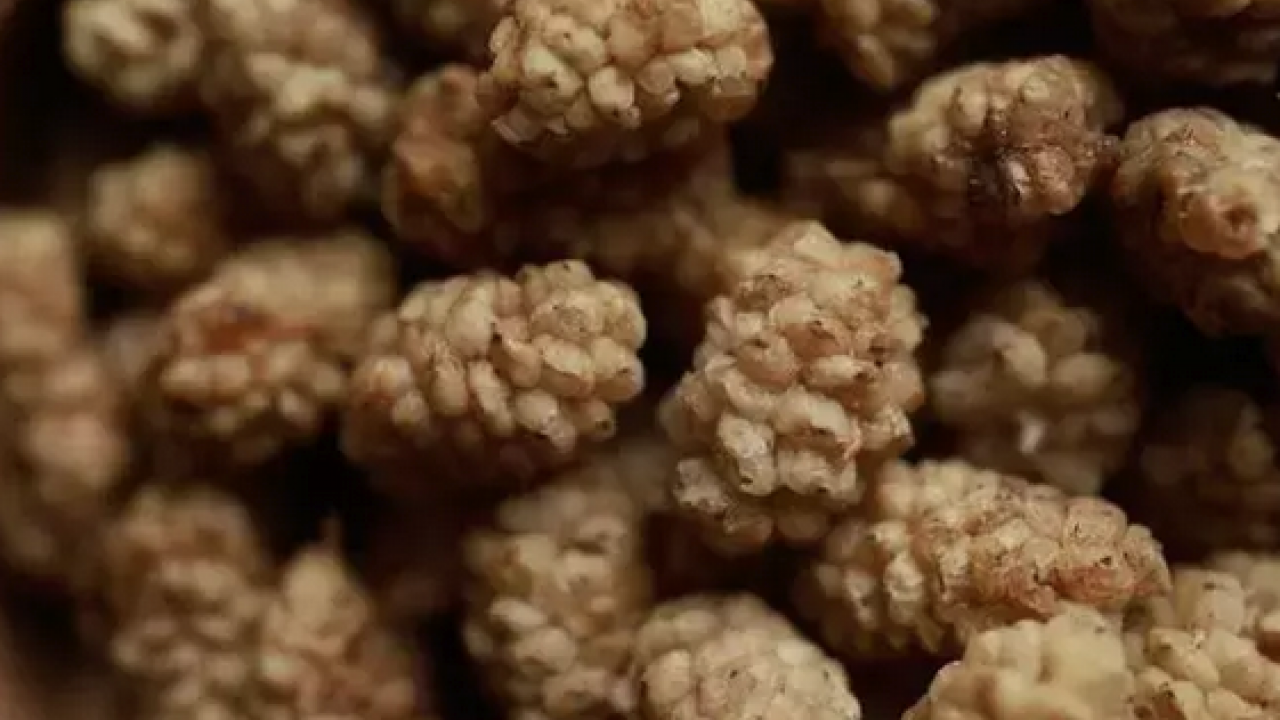 Foto - İbrahim Saraçoğlu'nun mucize tarifi: Padişahların doğal şeker ilacı! Egzamanın en doğal çaresiymiş