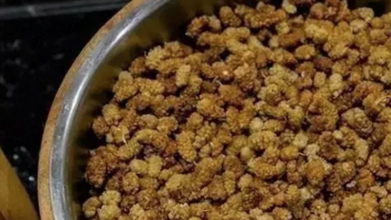 Foto - İbrahim Saraçoğlu'nun mucize tarifi: Padişahların doğal şeker ilacı! Egzamanın en doğal çaresiymiş