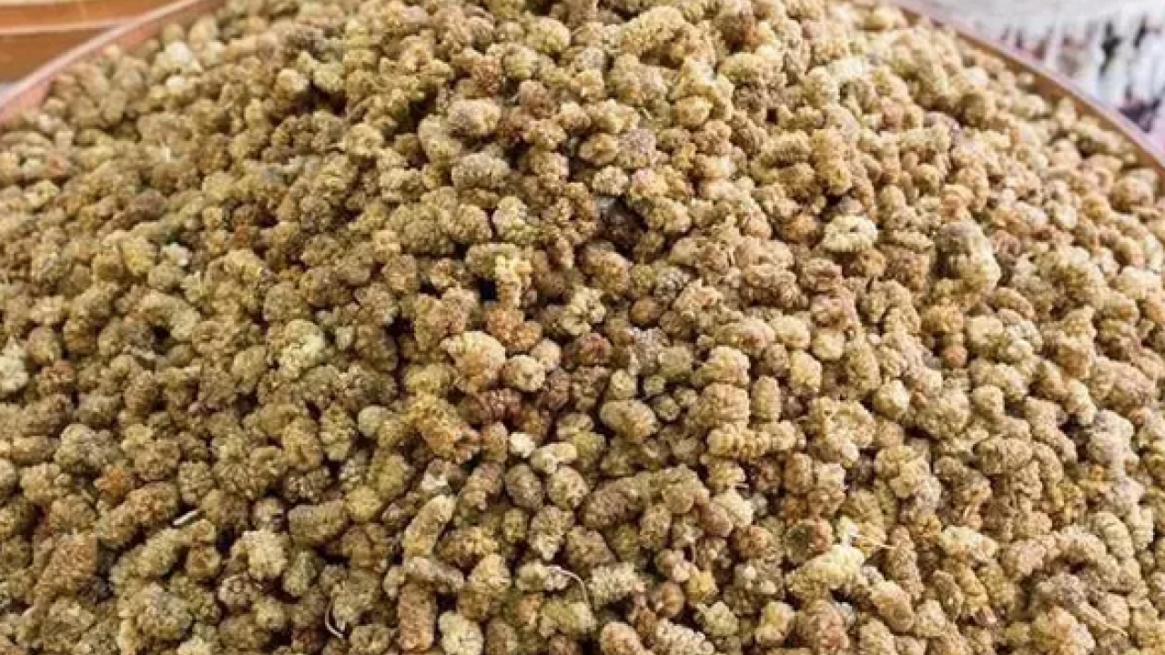 Foto - İbrahim Saraçoğlu'nun mucize tarifi: Padişahların doğal şeker ilacı! Egzamanın en doğal çaresiymiş