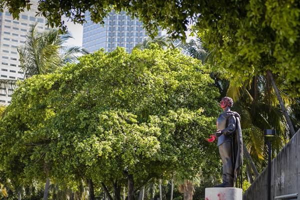 Foto - İç savaşın eşiğine gelen ABD'de Kolomb ve de Lion'un heykelleri hedef alındı