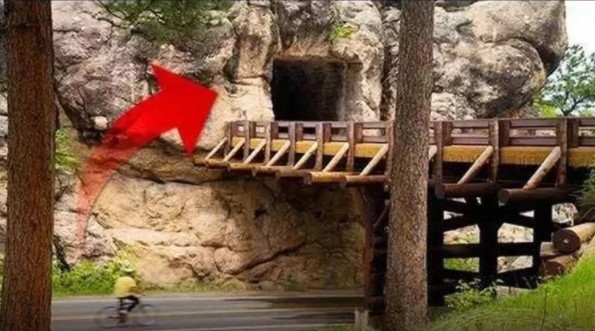 İçerisindekiler şoke ediyor! Dünyanın en iyi korunan yerleri