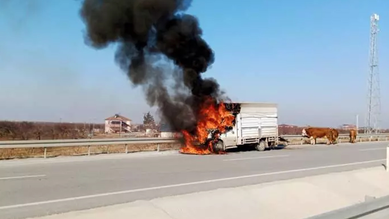 Foto - İçi büyükbaş hayvanlarla doluydu! Malatya’da kamyonet alev alev yandı