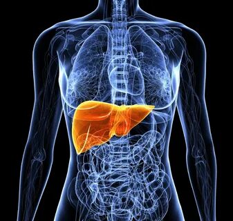 İçi zehir dolmuş karaciğeri tek seferde temizliyor! Bu besin doğal serum görevi görüyor