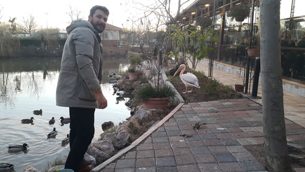 Foto - İçimizi ısıttı... Balıkçıbey'de yaralı bulunan pelikanın hikayesi yüzünüzde tebessüm bırakacak