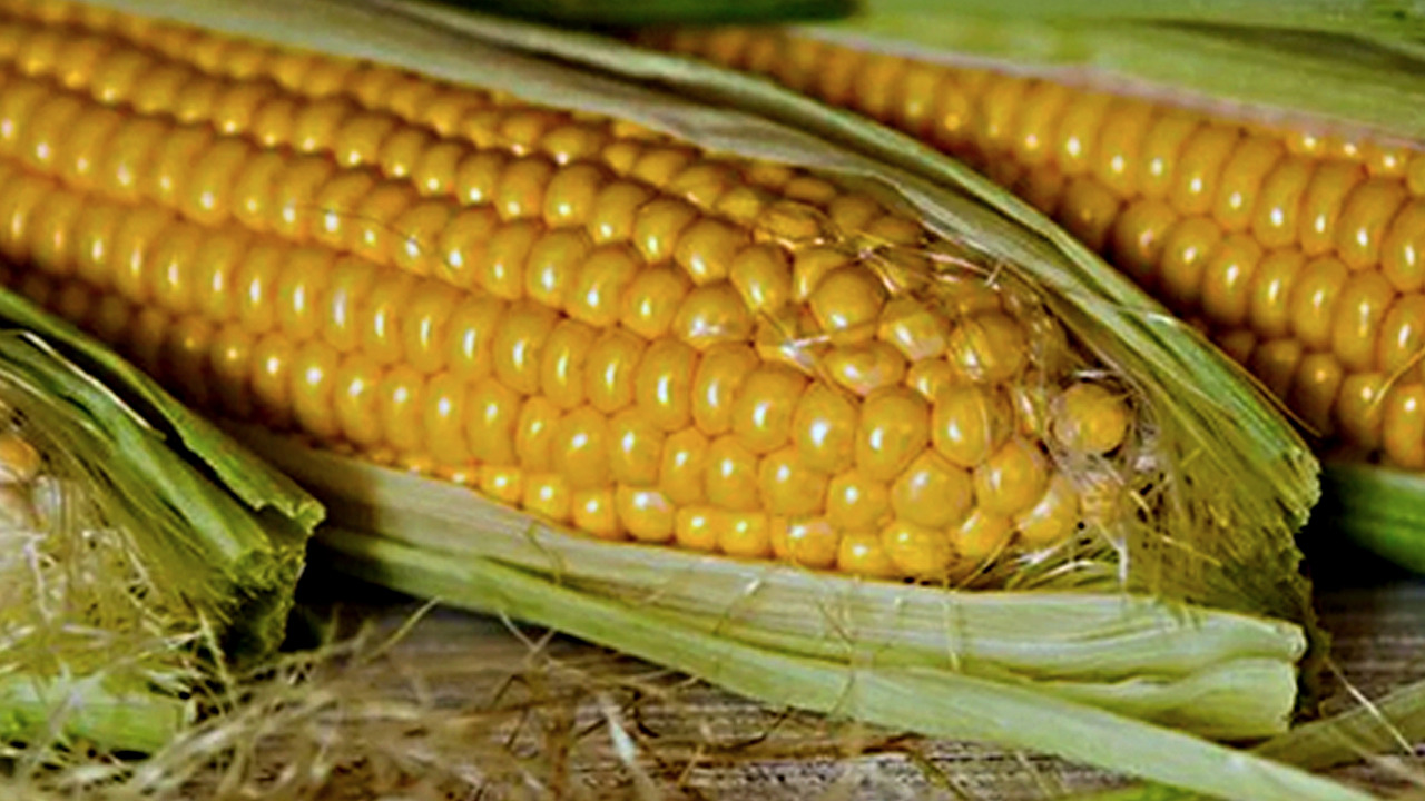 Foto - İçinde bol miktarda C ve K vitamini bulunuyor! Duyanlar pazara koşuyor