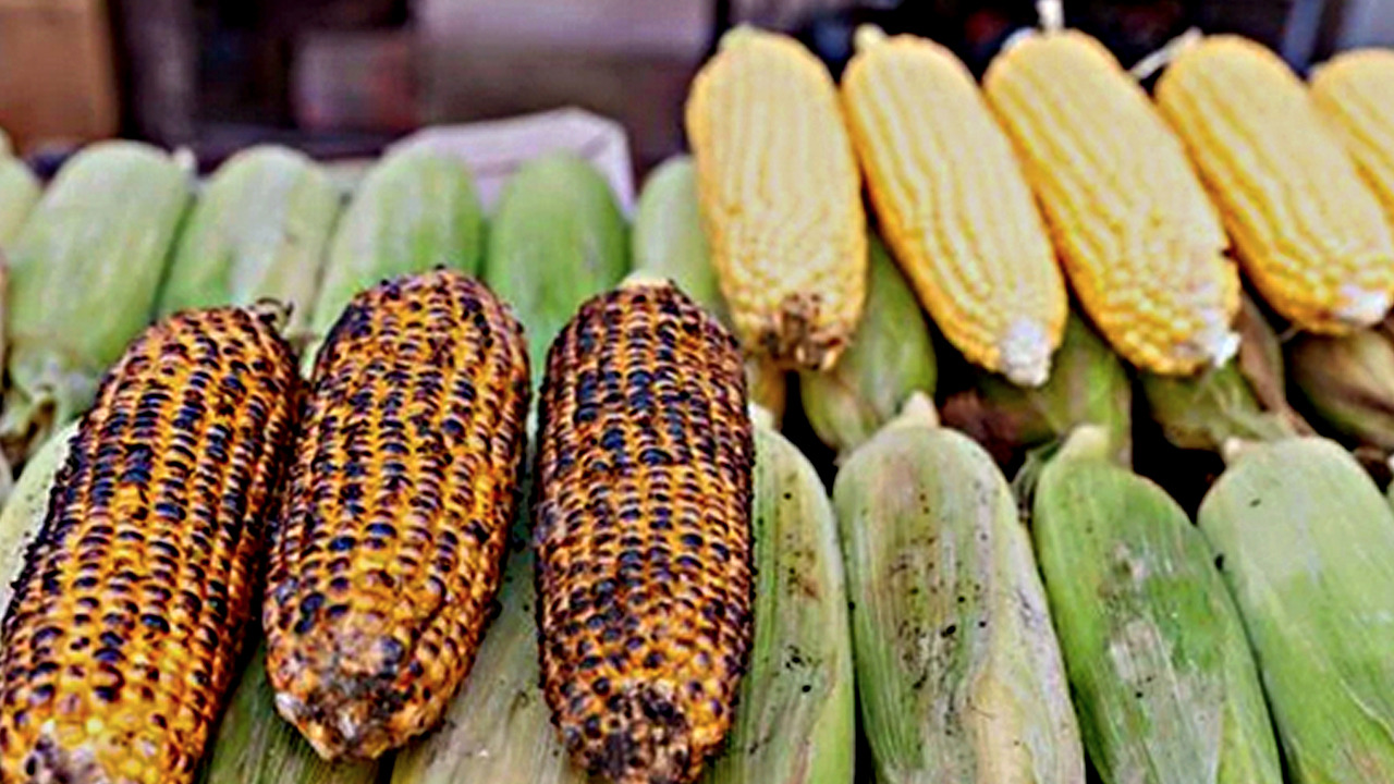 Foto - İçinde bol miktarda C ve K vitamini bulunuyor! Duyanlar pazara koşuyor
