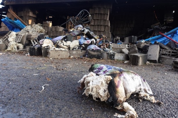 Foto - İçinde kaynak yapılan müştemilat yandı