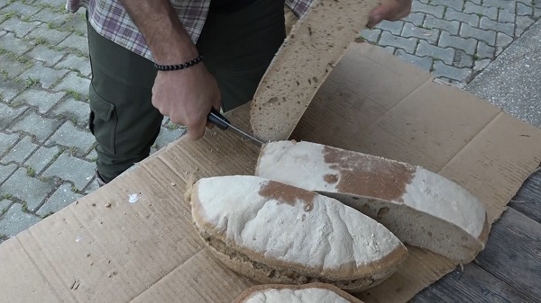 Foto - İçinde yok yok! Artık ekmeğin de iyisini ayılar yiyor