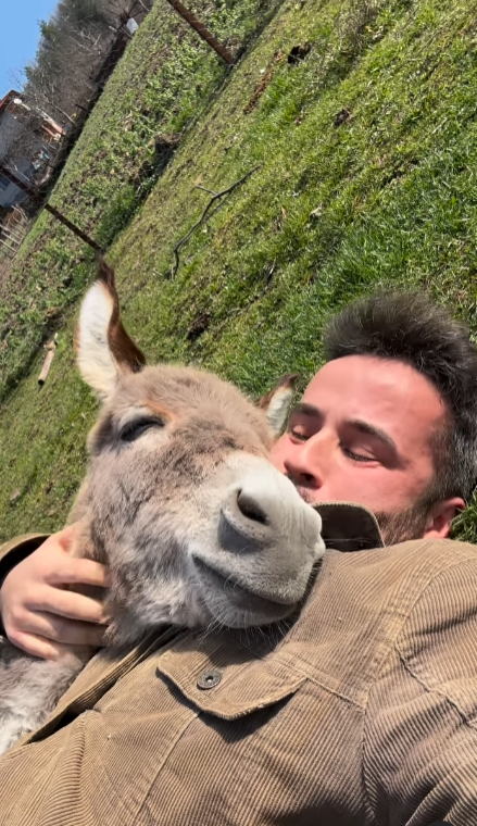 Foto - İçindeki hayvan sevgisi onu ünlü biri yaptı