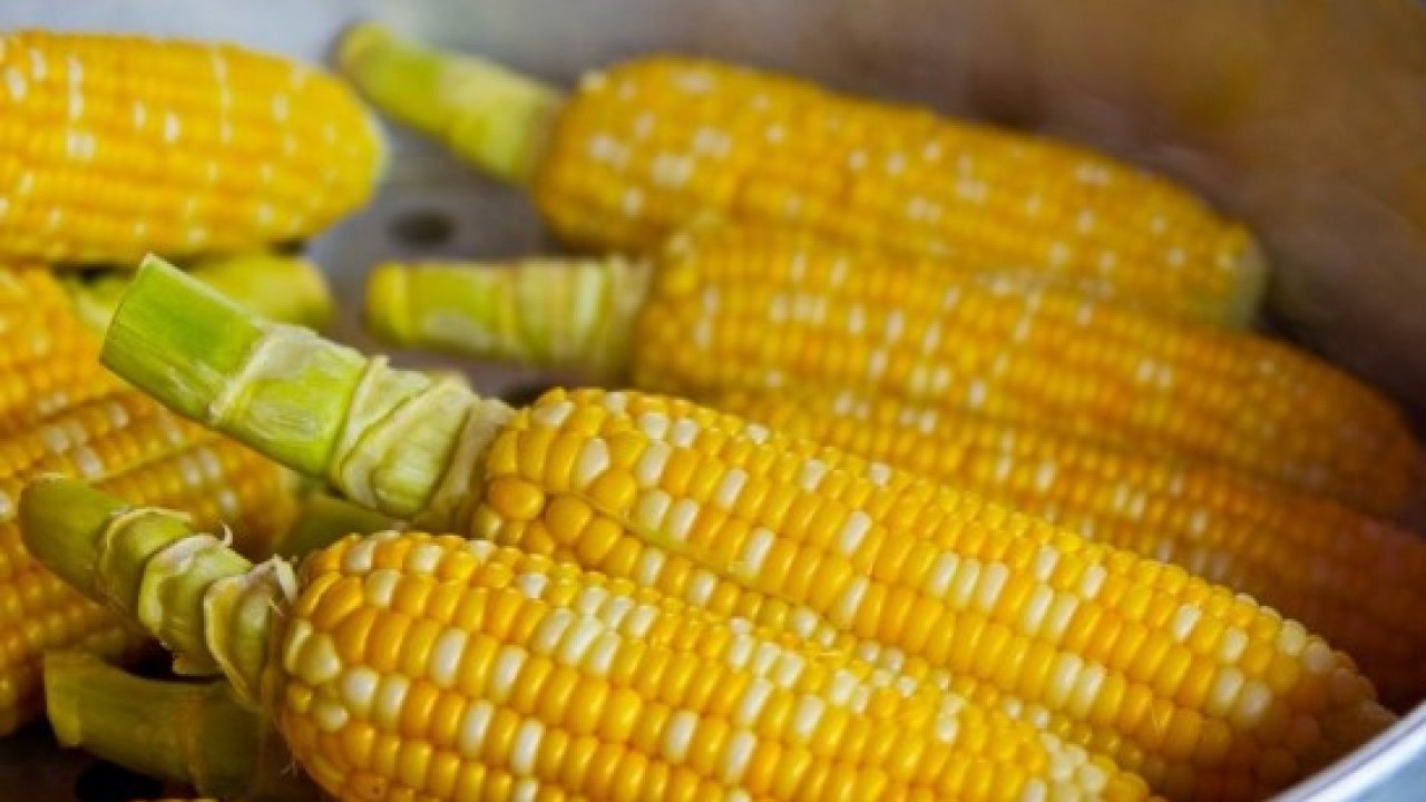 Foto - İçine bir parça atın farkı görün: Lezzetini 10 kat artırıyor!