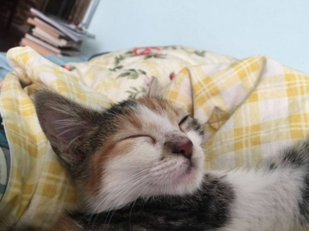 Foto - İçinizi ısıtacak bir hikaye