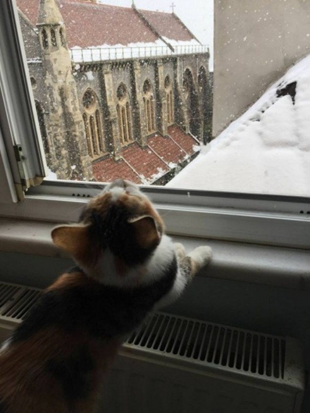 Foto - İçinizi ısıtacak bir hikaye