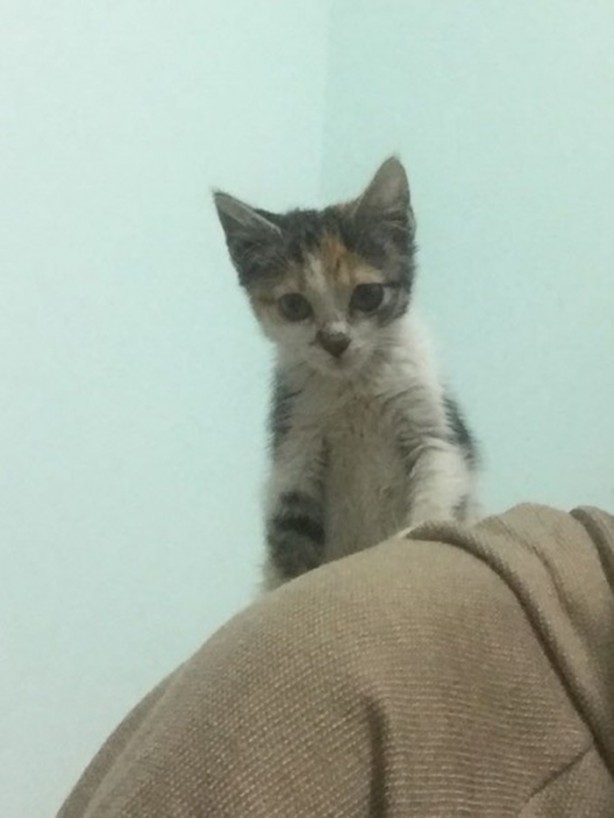 Foto - İçinizi ısıtacak bir hikaye