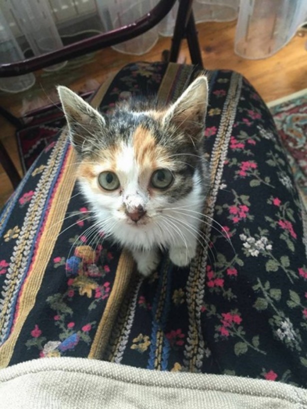 Foto - İçinizi ısıtacak bir hikaye