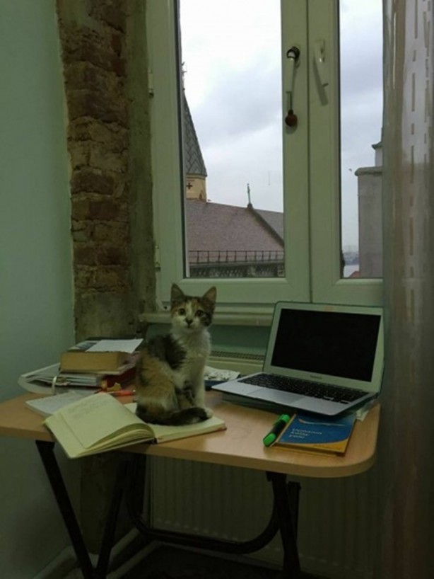 Foto - İçinizi ısıtacak bir hikaye