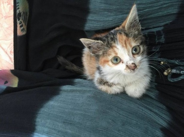 Foto - İçinizi ısıtacak bir hikaye