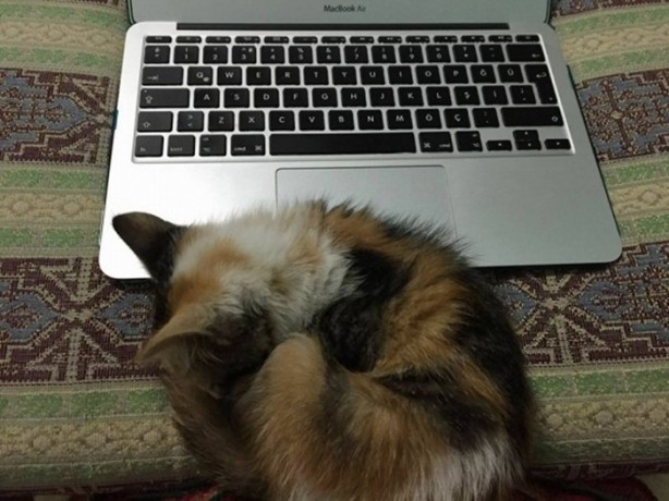 Foto - İçinizi ısıtacak bir hikaye