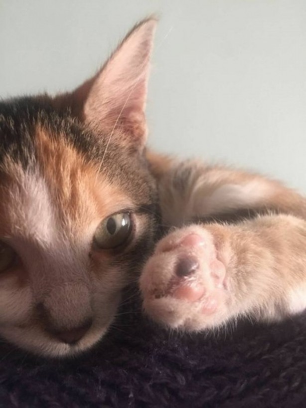 Foto - İçinizi ısıtacak bir hikaye