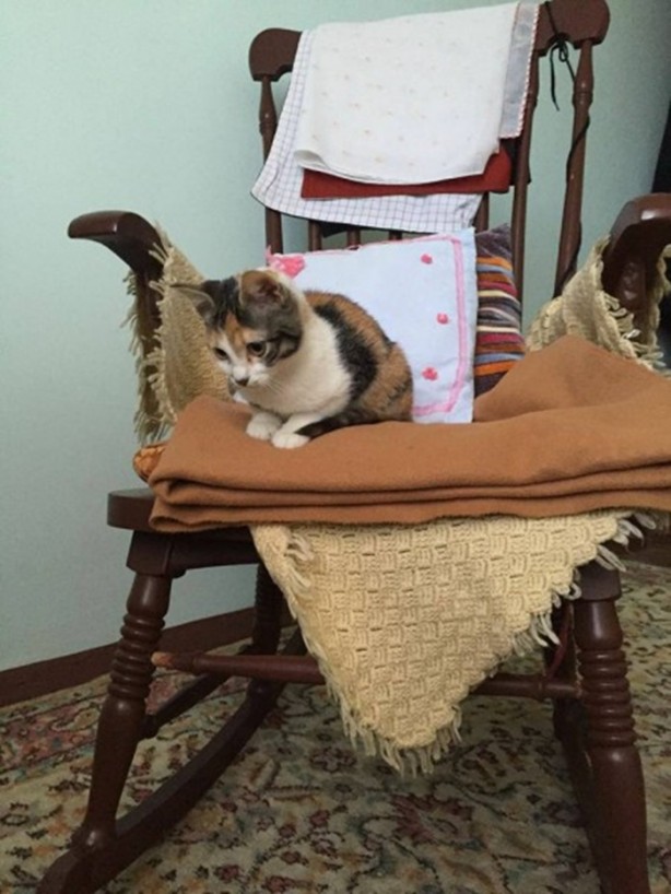 Foto - İçinizi ısıtacak bir hikaye