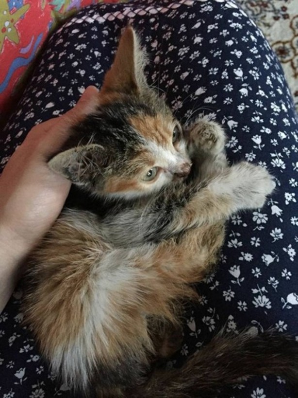 Foto - İçinizi ısıtacak bir hikaye