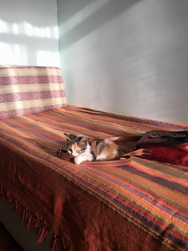 Foto - İçinizi ısıtacak bir hikaye