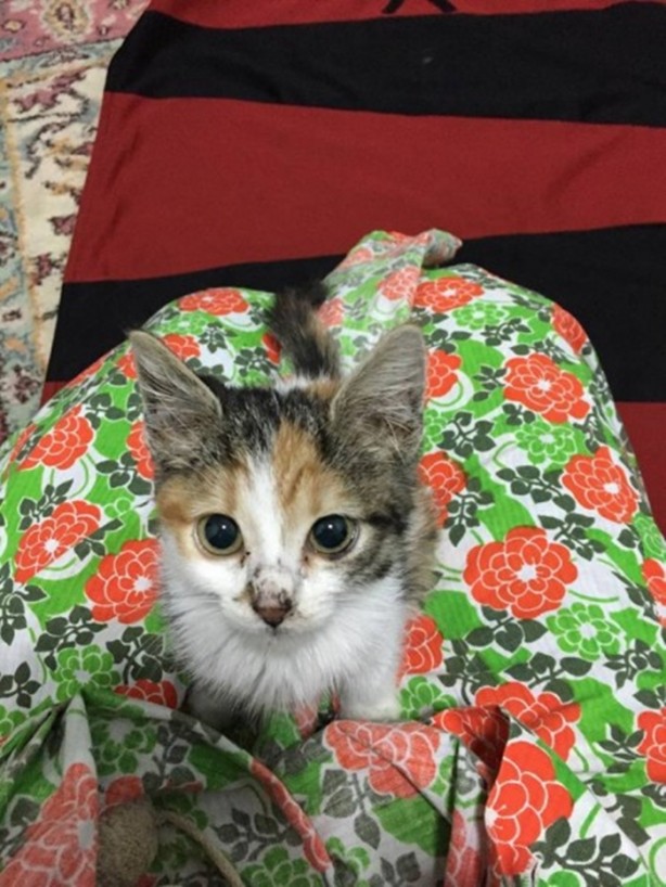 Foto - İçinizi ısıtacak bir hikaye