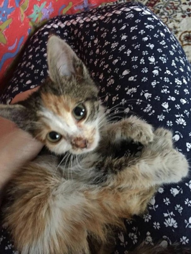 İçinizi ısıtacak bir hikaye