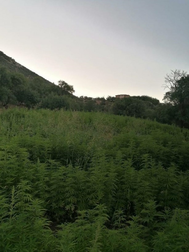 Foto - İçişleri Bakanlığı duyurdu! Diyarbakır'da başlatıldı