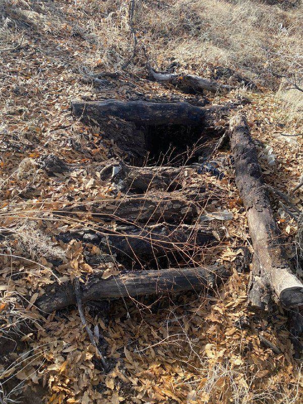 Foto - İçişleri Bakanlığı duyurdu: Operasyon başlatıldı