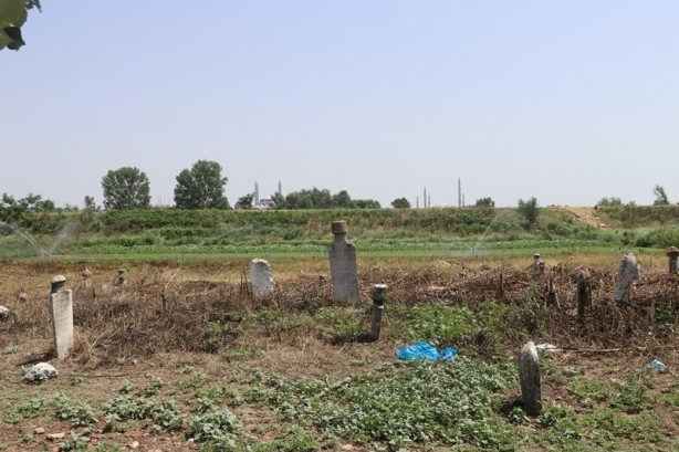 Foto - İçler acısı görüntü! Çağrı yaptı