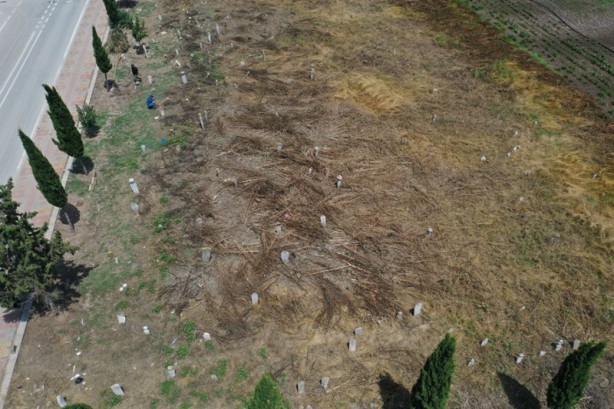 Foto - İçler acısı görüntü! Çağrı yaptı