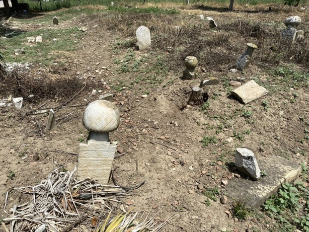 Foto - İçler acısı görüntü! Çağrı yaptı