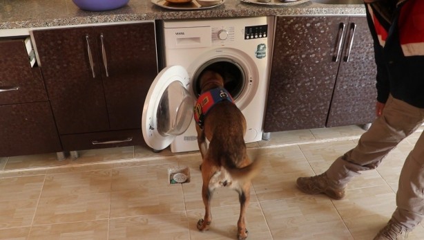 Foto - İdam edin bunları! Şanlıurfa'da yakalandılar