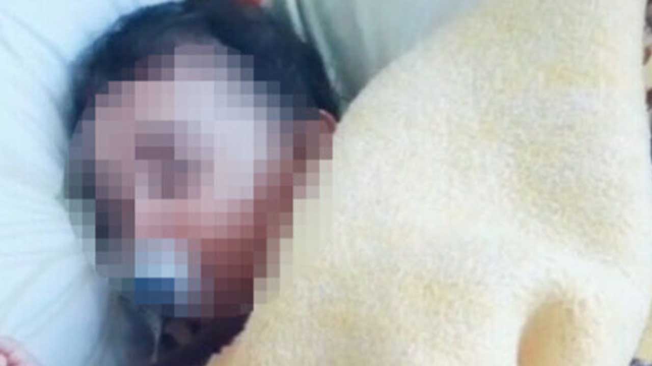 Foto - İdam edin şunları! Türkiye bu ahlaksızları konuşuyor