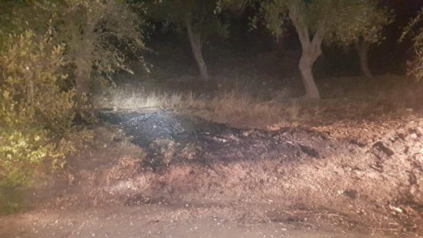 Foto - İdam işte bu yüzden gerekli! Orman yakan PKK’lı hain içeride de rahat durmuyor