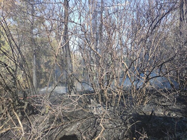 Foto - İdam işte bu yüzden gerekli! Orman yakan PKK’lı hain içeride de rahat durmuyor