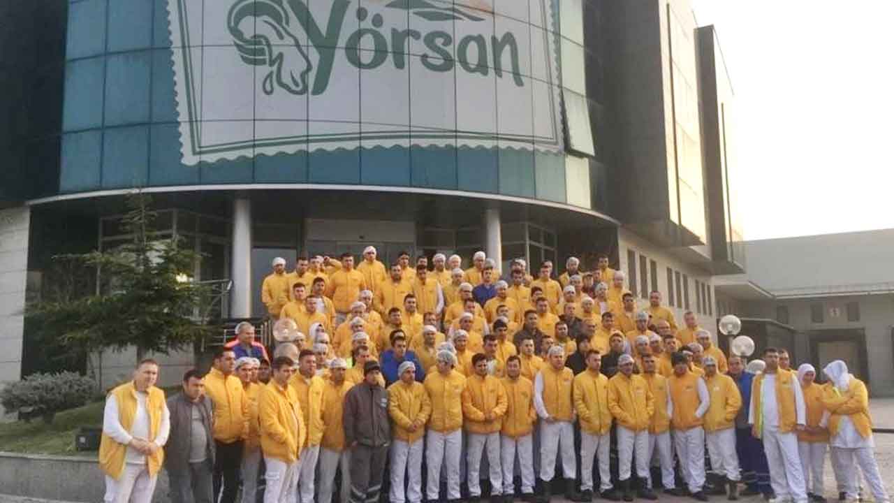 Foto - İflas eden Yörsan Türkiye'ye duyurdu! Herkes şaştı kaldı: Destan yazacağız