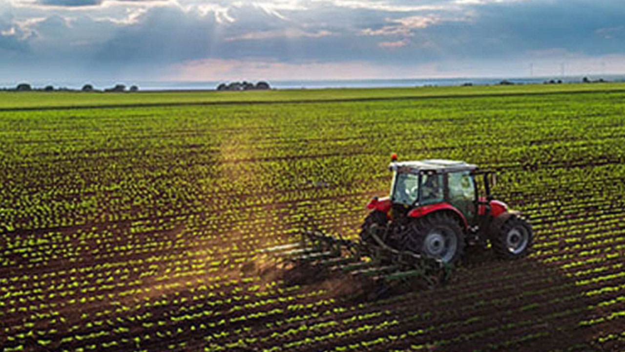 Foto - İflas haberi gündem olmuştu! Tarım devi Türkiye'ye ilan etti: İflas etmedik ayaktayız