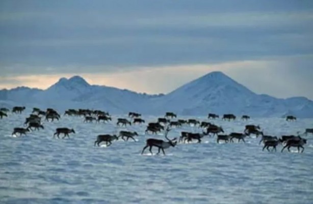Foto - İftardan önce yemek yemeyi yasakladılar! Daha neler neler var...