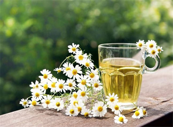 Foto - İftardan sonra sindirimi kolaylaştırmak için...