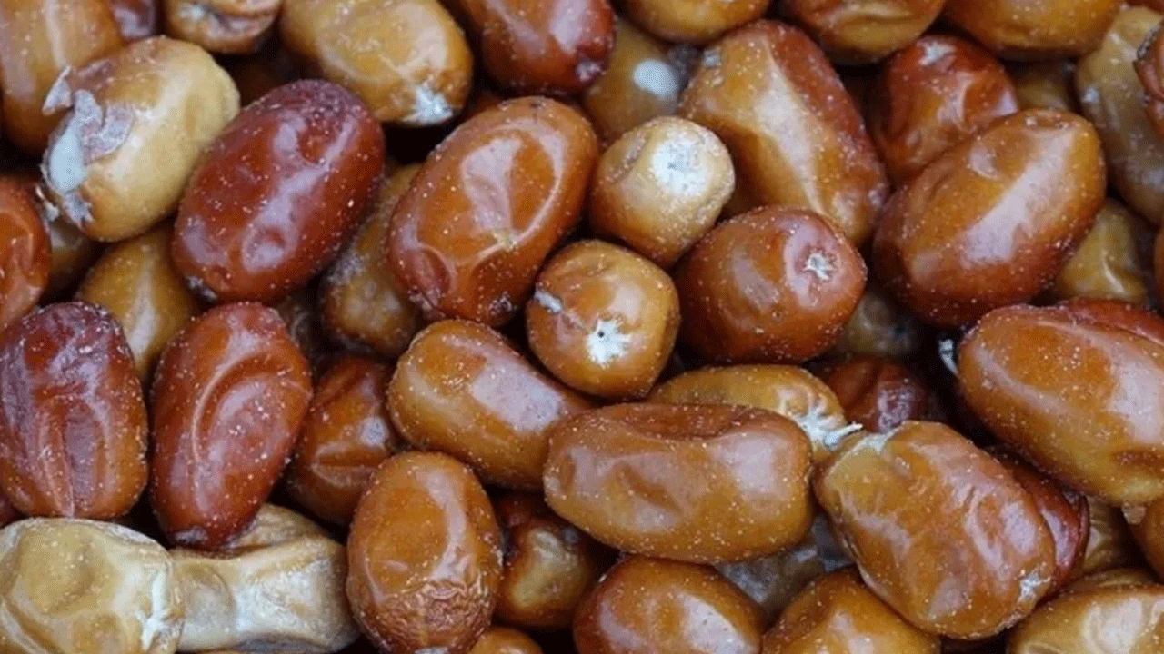 Foto - İğdenin faydaları nelerdir? İğde nelere iyi gelir? İğde tozu nasıl kullanılır? İğde çekirdeği tozu zararları nelerdir?