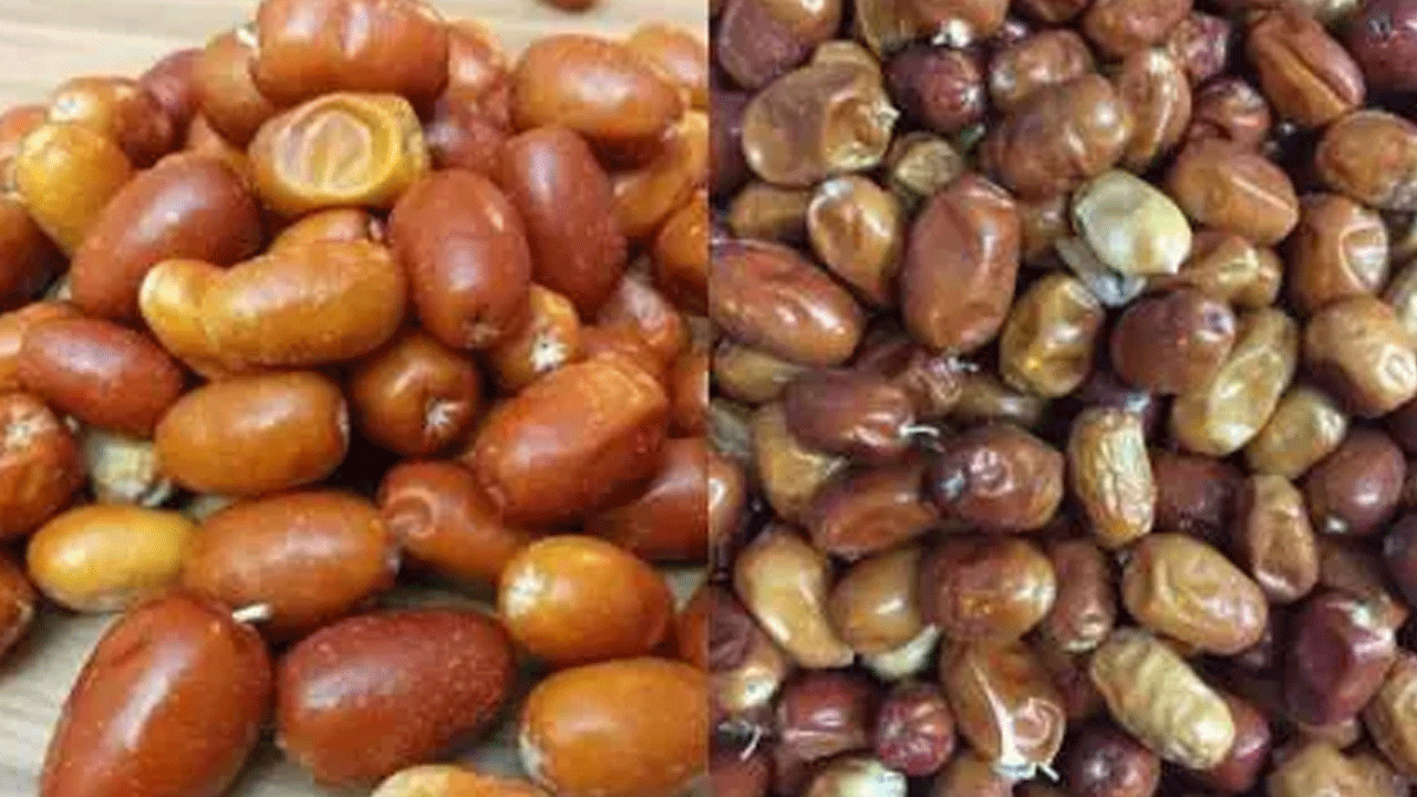 Foto - İğdenin faydaları nelerdir? İğde nelere iyi gelir? İğde tozu nasıl kullanılır? İğde çekirdeği tozu zararları nelerdir?